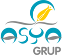 Asya Grup